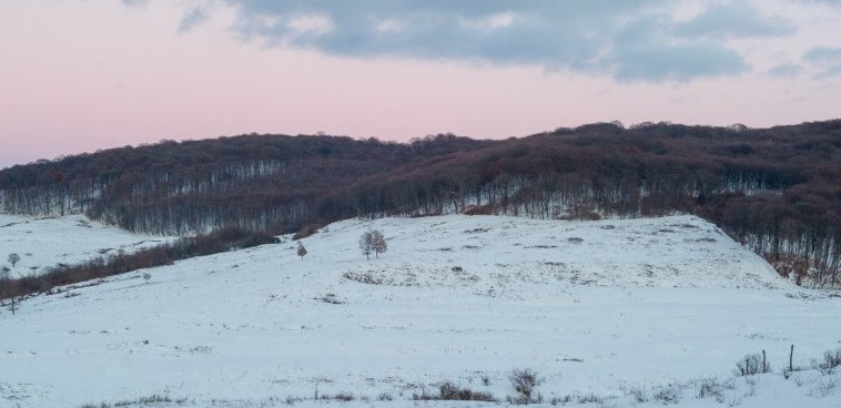 Vaddisznóhajtás közben ragadott el egy 27 éves férfit a medve Énlaka és Etéd között