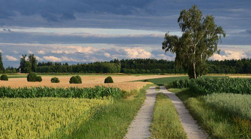 A települések egyszerűsített eljárással vásárolhatnak kültelki mezőgazdasági területeket közhasznú beruházások céljából