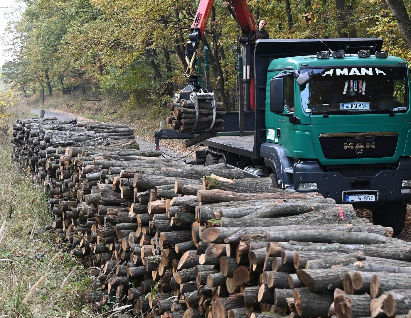 Energiaigényes anyagokat helyettesíthet a fa egy uniós jelentés szerint