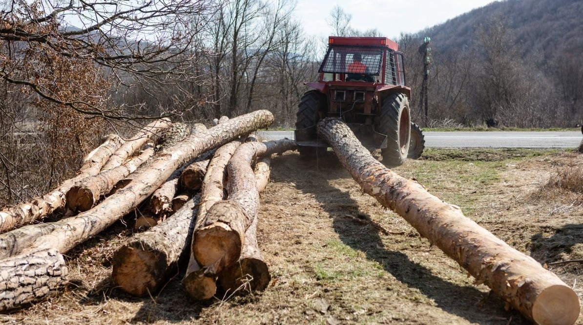 Fakitermelés miatt zárják le a Lövéte és Szentegyháza közötti utat szerdától péntekig a délelőtti órákban