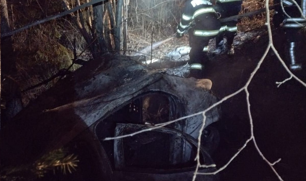 Elvesztette uralmát a jármű fölött, majd fának ütközött egy külföldi sofőr Szentegyháza közelében