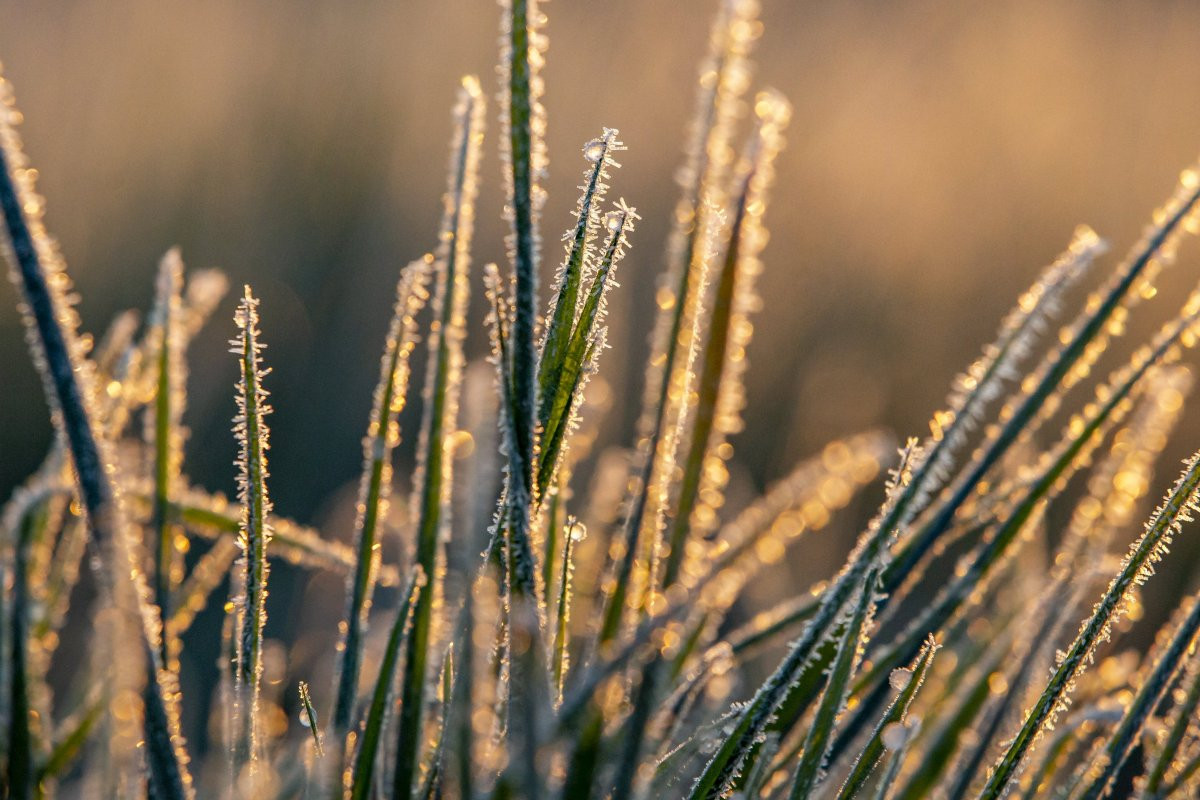 Fagypont alá esett a hőmérséklet péntekre virradóan Csíkszeredában