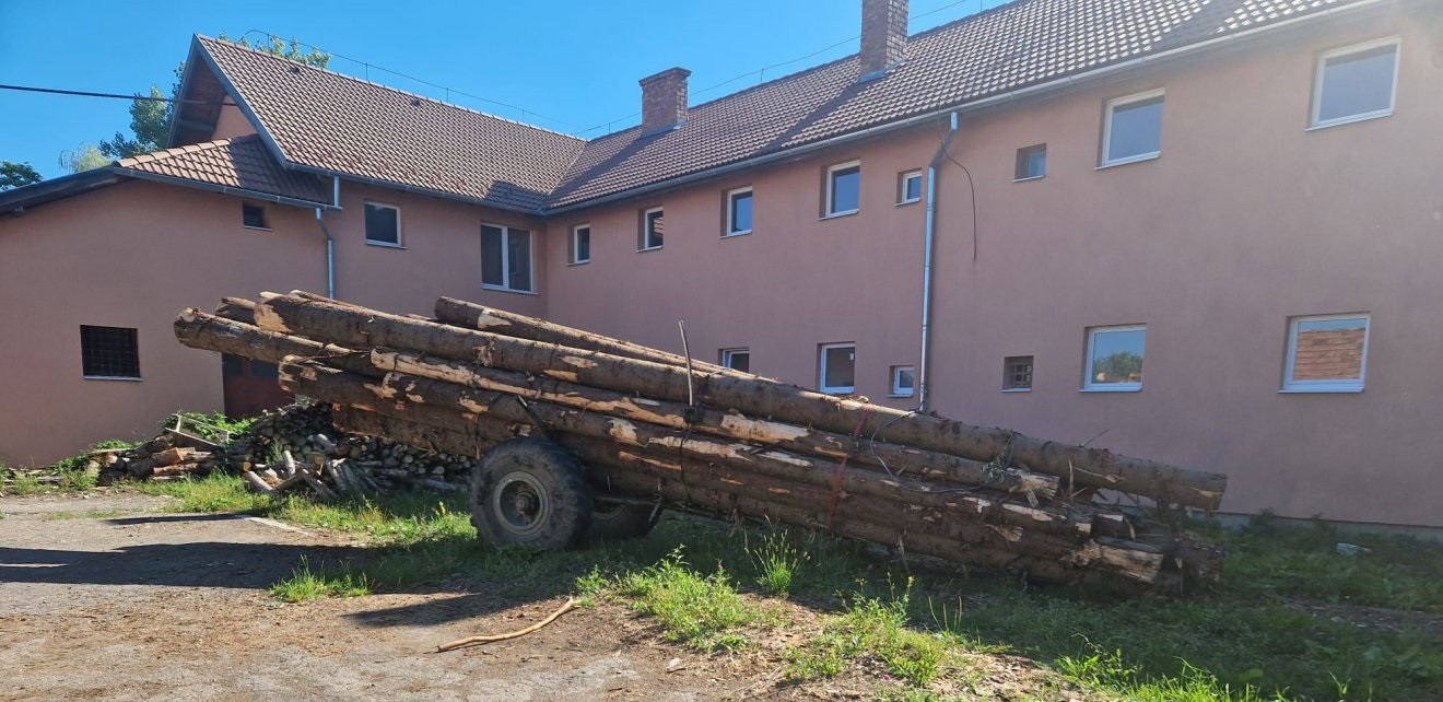 Tizenöt köbméter fát loptak pénteken a Szépvízi Magánerdészet ügykezelésében lévő Hargitafürdőhöz közeli erdőből