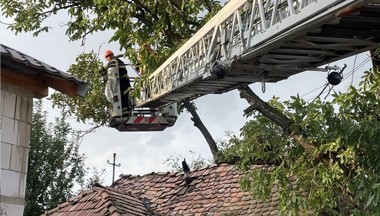 Több fa is kidőlt Alsóboldogfalván, Székelykeresztúron pedig egy trafóház tetejét rongálta meg a szombaton tomboló vihar