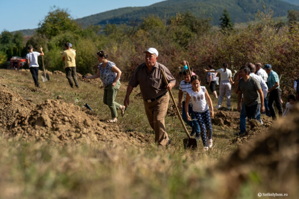 Több mint kétszáz őshonos gyümölcsfát ültettek el Erdőszentgyörgyön
