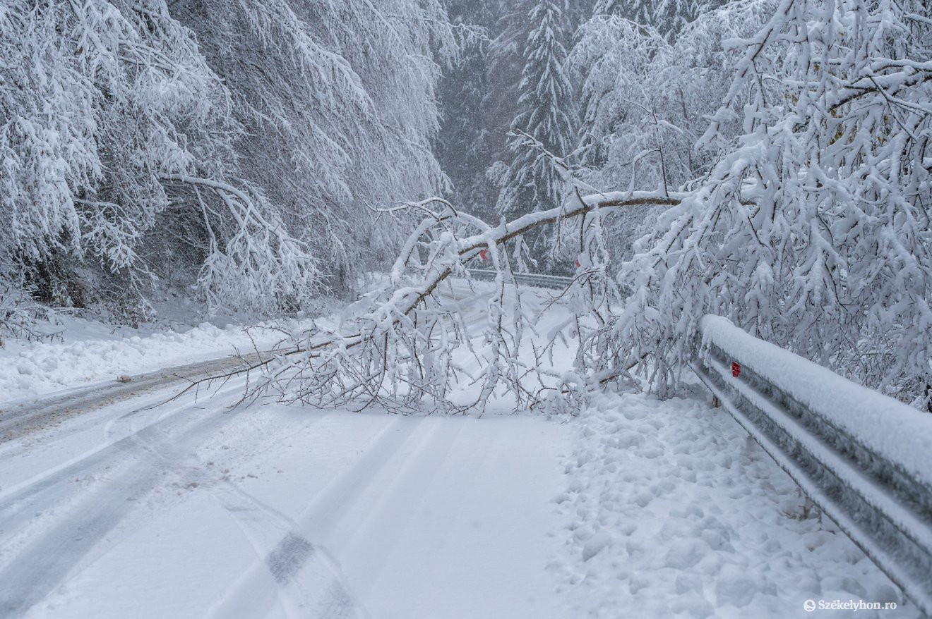 Több mint 1300 személy maradt áram nélkül péntek este Gyergyószéken a havazások miatt