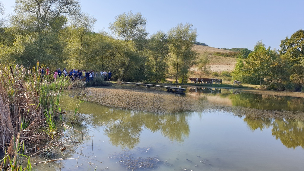 Már több mint 100 magyarországi gazdálkodó ajánlotta fel a területét vízmegtartásra