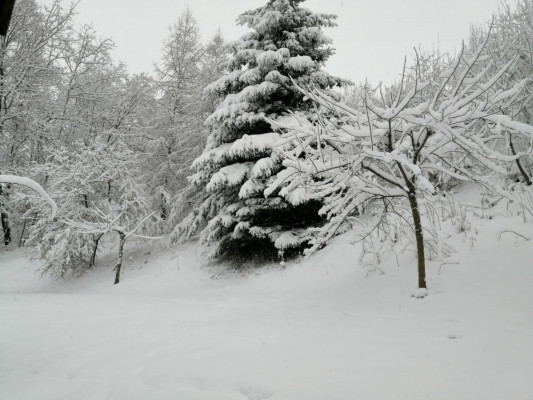 Téliesek az útviszonyok Székelyföldön
