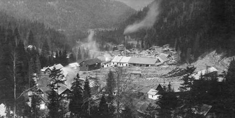 Egy valaha virágzó faipari vállalkozás, a Mikes Ármin gróf által alapított „Zabolai” mára nyomtalanul elenyészett